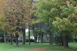 LawrenceFallcoloursphotosept25final