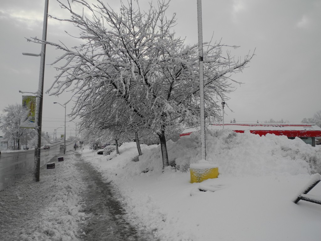 BELLEVILLE – Snow on Front Street North Wednesday morning. Photo by Suzanne Coolen