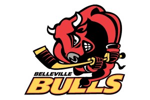 Bulls logo