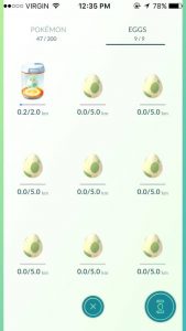 Pokémon Go egg screen. Screenshot from Phone. By QNetNews reporter Justin Medve