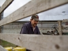 MARYSVILLE, Ont. (11/11/2011) â Oliver Haan loads buckets of feed into the back of his wife's pick up truck, Friday morning. Haanover View Farms has two barn locations, seven kilometers apart from each other. Twice a day, they take feed from the main barn location to the "nursery barn" to feed the newborn pigs.  (Michelle Cochrane)