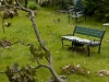 TWEED, On. (06/09/11) A backyard in Tweed is covered in debris after Wednesday night's storm. Photo by Ashliegh Gehl.