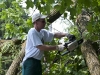 TWEED, On. (06/09/11) David Baker, 47, thought he was on vacation until a powerful storm hit Tweed Wednesday night, knocking out the power until 6 a.m., giving him plenty of debris to cleanup the next morning. Photo by Ashliegh Gehl.