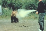 Bear Spray